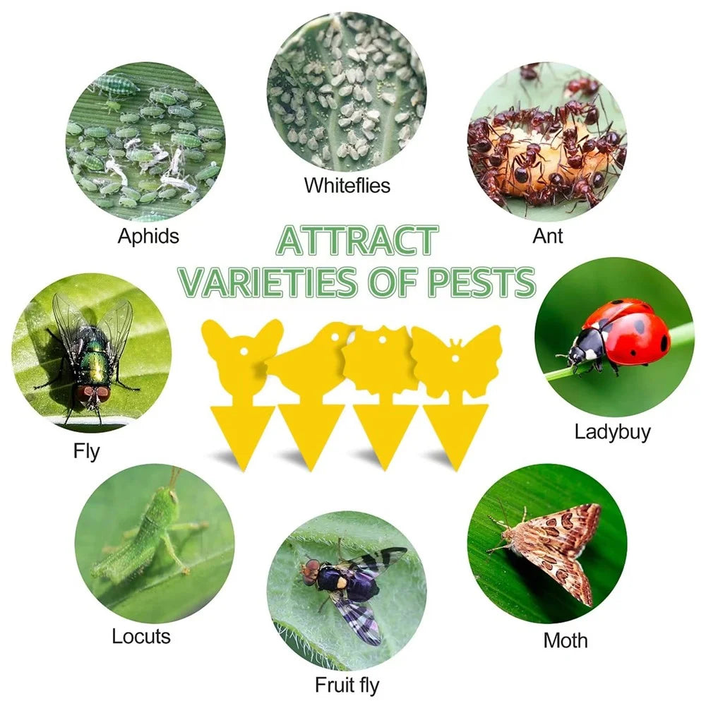 20Pcs Sticky Insect Trap Plant Pest Control Catcher Gardening Supplies Double-sided Yellow PP Sticky Board - Thick Butterfly - 2