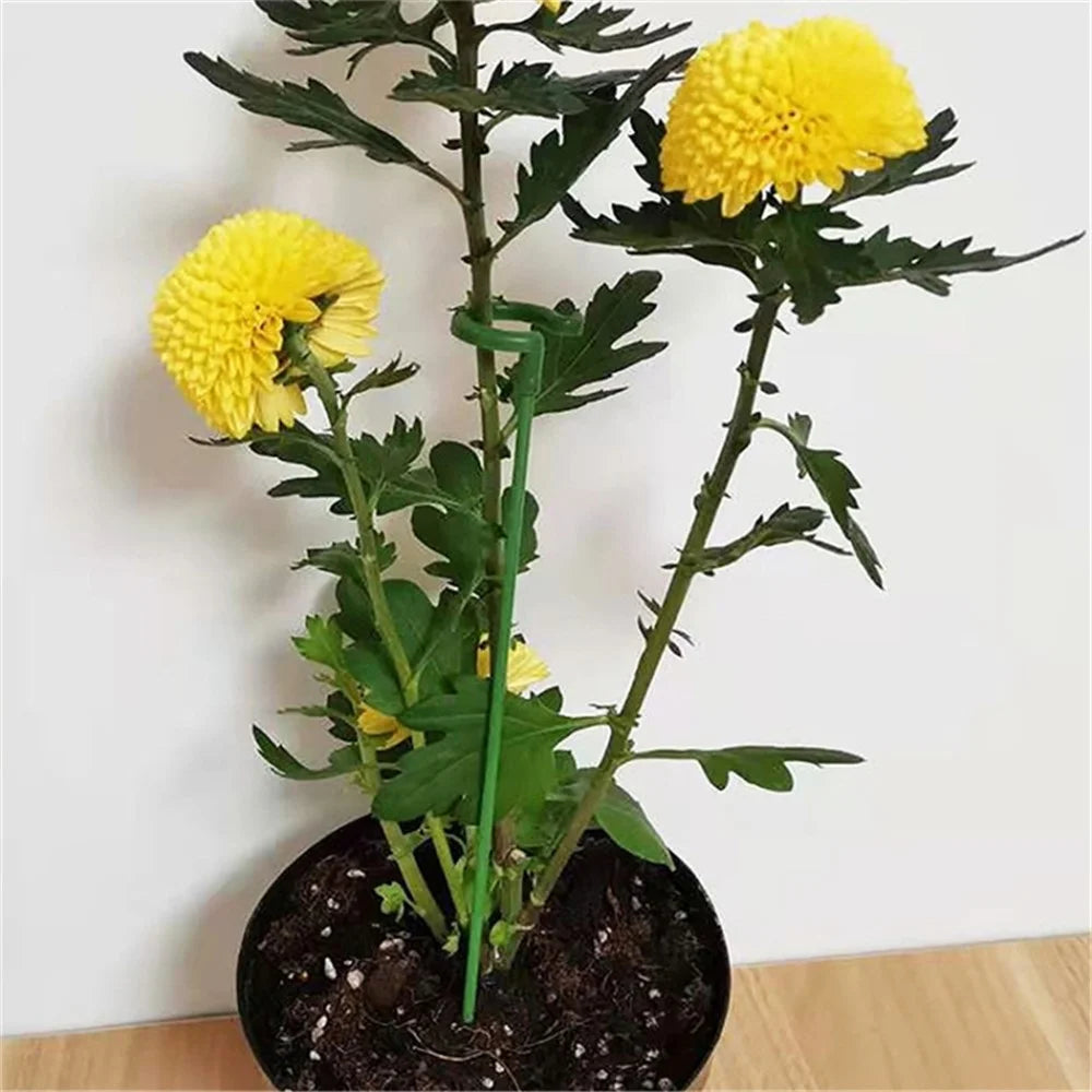 10PCS 27CM Fiberglass Plant Stake Garden Single Stem Support Stake Plant Cage Ring for Orchid Rose Tomato - 3