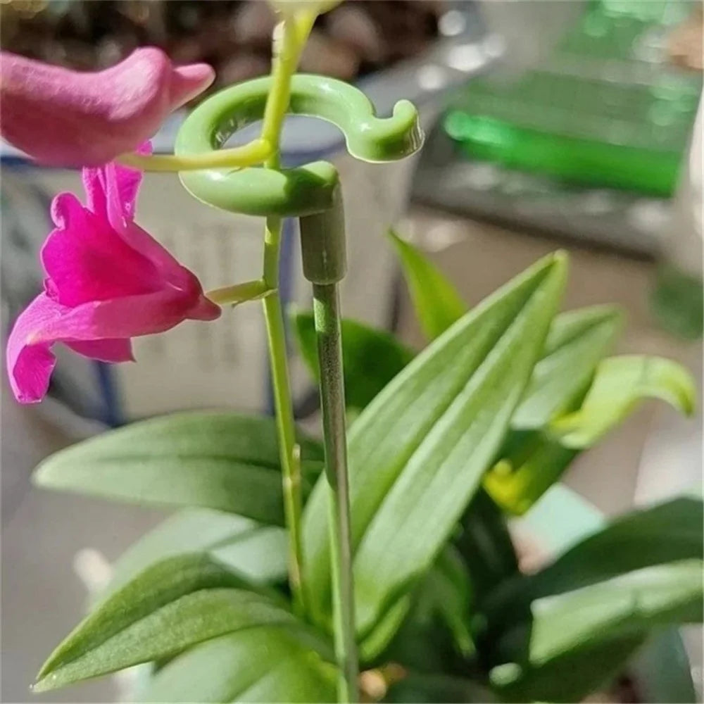 10PCS 37CM Indoors Plant Cage Ring Orchid Rose Tomato Fiberglass Stake Garden Single Stem Support Ring Stick - 4