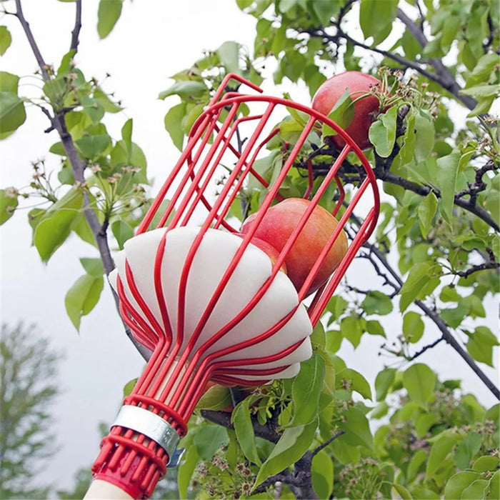 Iron Wire Fruit Picker Detachable Deep Basket Peach Pear Catcher Garden Fruit Picking Tool - Red - 5