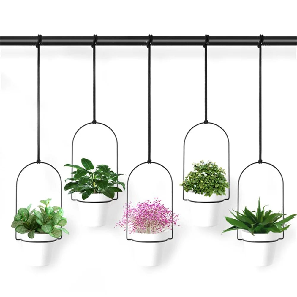 001- XG-5P Hanging Flower Pot 5-in-1 Wall Hanging Pothos Plant Basket - 1