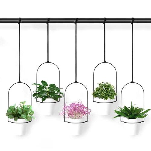 001- XG-5P Hanging Flower Pot 5-in-1 Wall Hanging Pothos Plant Basket - 1