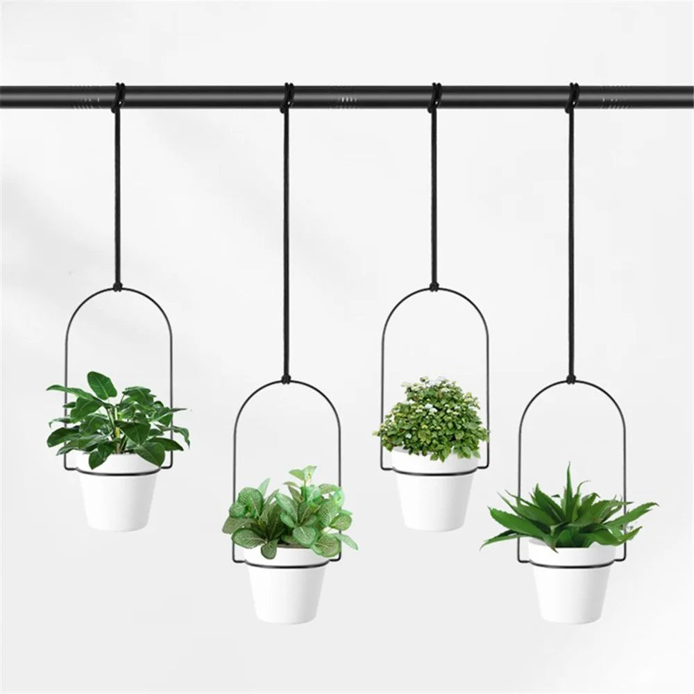 001- XG-5P Hanging Flower Pot 5-in-1 Wall Hanging Pothos Plant Basket - 3