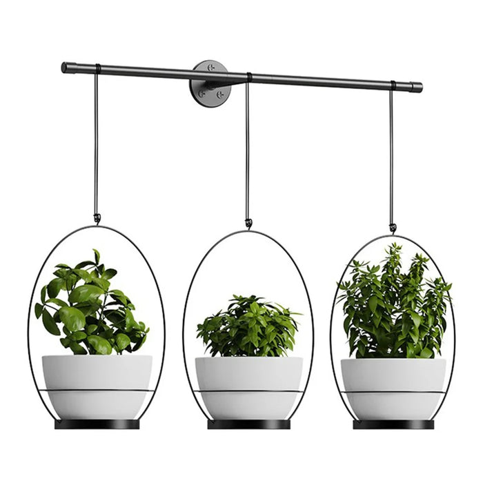 001- ZJY-GT3 ZJY-GT2 Set of 3 Hanging Plant Hangers Detachable Wall-Mounted Flower Pot Holder - Black - 1