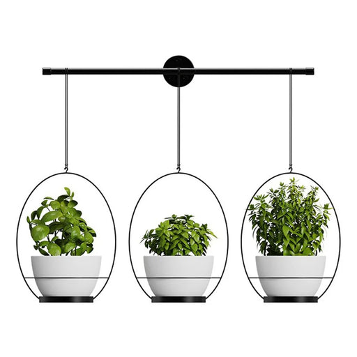 001- ZJY-GT3 ZJY-GT2 Set of 3 Hanging Plant Hangers Detachable Wall-Mounted Flower Pot Holder - Black - 2