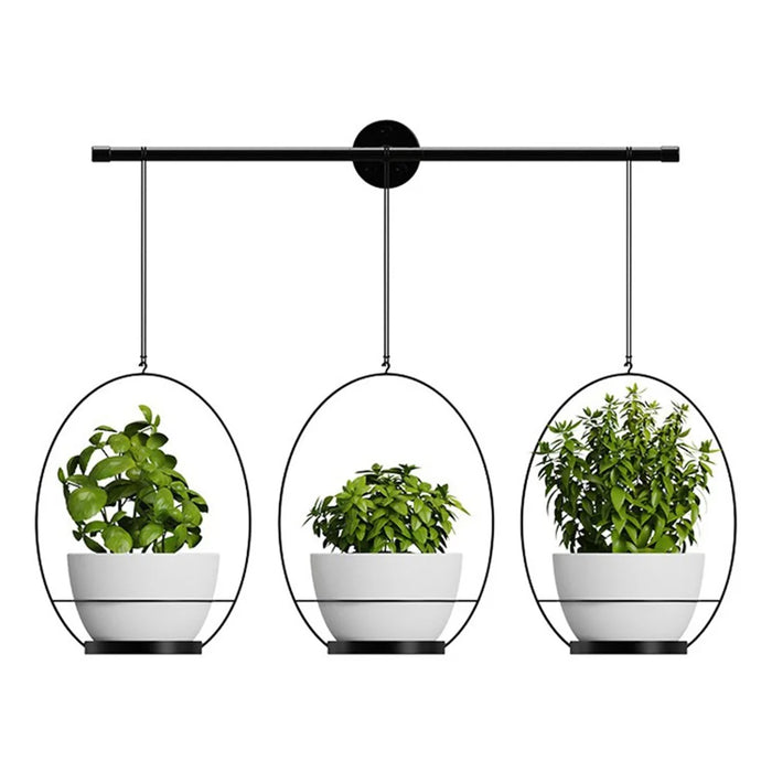 001- ZJY-GT3 ZJY-GT2 Set of 3 Hanging Plant Hangers Detachable Wall-Mounted Flower Pot Holder - Black - 2