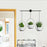 001- ZJY-GT3 ZJY-GT2 Set of 3 Hanging Plant Hangers Detachable Wall-Mounted Flower Pot Holder - Black - 3