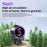 LS02 Desktop Bladeless Clip Fan Touch Control 180 Degree Oscillation Multi Wind Speed Summer Cooling Fan - Grey - 7