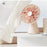 SOTHING Forest Pro Desktop Fan 3 Wind Speeds Shaking Head USB Rechargeable Cooling Fan - Apricot - 2