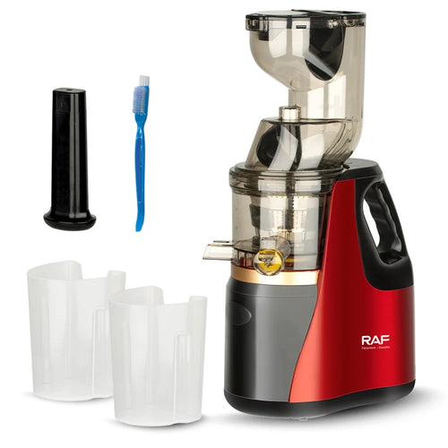 RAF R.2831 EU Plug Automatic Fruit and Vegetable Juicer Multifunctional Pomace Separation Machine - 1