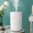 220ml Mini Humidifier Portable Air Purifier Car Office Atomizer Household Aroma Diffuser with Colorful Light - Black / US Plug - 5