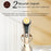 RF Face Lifting Machine EMS Pulse Therapy Device Skin Rejuvenation Micro Current Wrinkle Remover - Champagne - 5