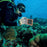 SHELLBOX 15M IPX8 Waterproof Case for iPhone 14 Pro Max / 13 Pro Max / X / XR / XS Max Underwater Phone Cover with Bluetooth-compatible Camera Module - 2