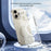 XUNDD XDD-0010 For iPhone 16 Plus Case Compatible with MagSafe Cover Ultra-Thin Clear PC Phone Cover - White - 3