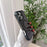 For iPhone 16 Pro Max Case Compatible with MagSafe TPU PC Detachable Phone Back Cover - Black - 5