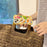 For iPhone 15 Silicone Case Cute 3D Animal Collection Pattern Shockproof Phone Back Cover - 7