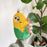 For iPhone 15 Silicone Case Cute 3D Corn Design Shockproof Phone Back Cover - 2
