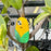 For iPhone 15 Silicone Case Cute 3D Corn Design Shockproof Phone Back Cover - 4