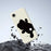 For iPhone 17e / 16e Case Black Bear Back Pattern Printing Straight Edge TPU Phone Back Cover - Beige - 6