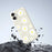For iPhone 17 Case White Daisy Pattern Printing Straight Edge TPU Phone Back Cover - Beige - 7