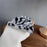 For iPhone Air Case Zebra Pattern Soft Plush TPU Phone Cover - White - 3