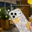 For iPhone 17 Pro Magnetic Case IMD Flower Pattern TPU + PC Clear Back Phone Cover - Style A - 5