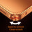 For iPhone 17 Pro Case Locking Buckle Alloy Frame Matte PC Back Phone Cover - Orange - 4