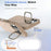 For iPhone 16 Case Compatible with MagSafe Skin-touch PC + TPU Phone Cover with Foldable Kickstand - Desert Gold - 6