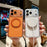 For iPhone 17 Pro Case Kickstand PC + TPU Shockproof Clear Phone Cover Compatible with MagSafe - Transparent  /  Orange - 4