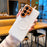 For Samsung Galaxy S26 Ultra Magnetic Case Wave Texture PU Leather Coated PC + TPU Phone Cover - White - 3