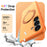 For Samsung Galaxy S26 Magnetic Case Ring Holder Kickstand PC + TPU Dual-Layer Protective Phone Cover - Orange - 3