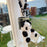 For Samsung Galaxy Z Flip5 5G Case Panda Pattern PC Phone Cover with Hand Strap, Small Doll - Style A - 3