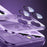 For iPhone 14 Pro Max Case with Lens Film Magnetic Anti-scratch PC Phone Protective Shell - Dark Purple - 2