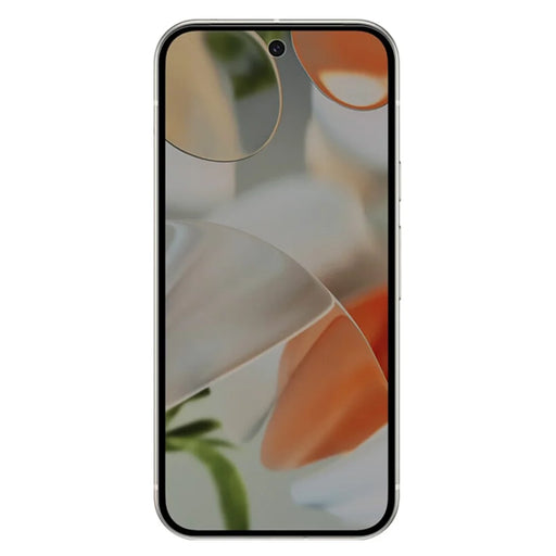 RURIHAI For Google Pixel 9 Pro Anti-Spy AGC Glass Screen Protector (Phone Case Version) (Fingerprint Unlock) - 2