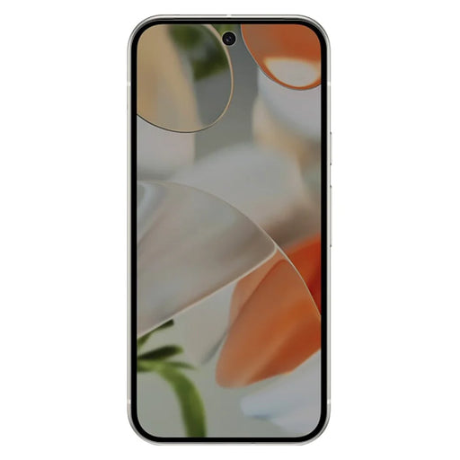 RURIHAI For Google Pixel 9 Anti-Spy AGC Glass Screen Protector (Phone Case Version) (Fingerprint Unlock) - 2