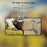 For Samsung Galaxy S23 FE Full Glue Tempered Glass Screen Protector Silk Printing Full Cover Film - 6