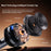 X75 Car Phone Holder Electric Suction Cup Mount Stand 360 Degree Rotation Magnetic Bracket - 3
