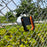WQ-03 Sports Stadium Fence Mount Phone Holder Chain Link Net Clamp Car Air Vent Universal Mount - White - 7