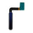 For Samsung Galaxy Fold 4G F900 OEM Home Key Fingerprint Button Flex Cable Part Replacement (without Logo) - Blue - 1