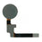 For Google Pixel 2 OEM Home Key Fingerprint Button Flex Cable Part (without Logo) - Blue - 2