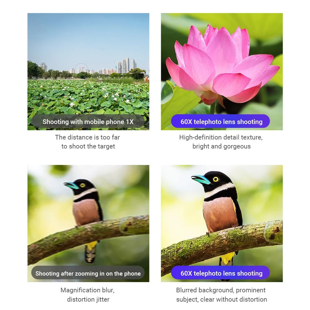 APEXEL APL-60XFR50 60X Telephoto Lens Tripod Set Multi-Layer Coated HD 50mm Phone Monocular for Birds Watching, Concert - 5