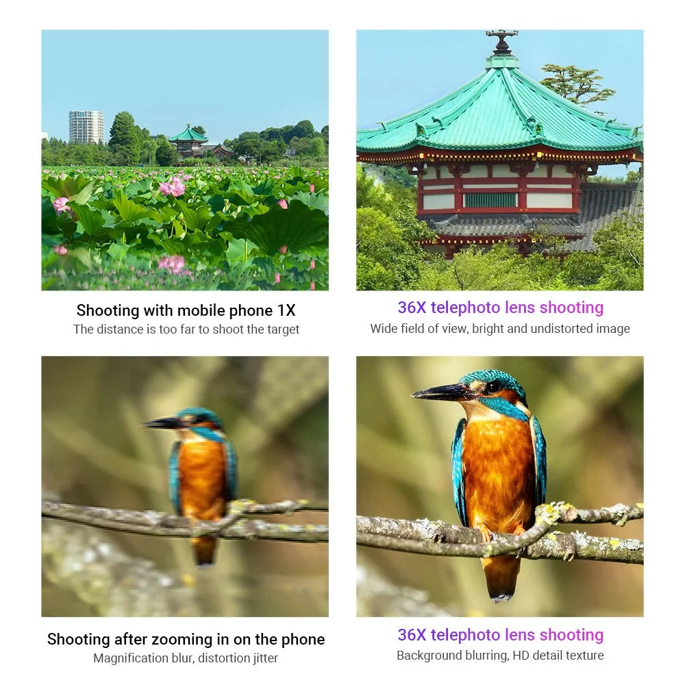 APEXEL APL-36XCR50 Aluminum Alloy 36X Telephoto Lens Phone Camera for Bird Watching Hiking - 7