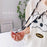 110cm Universal Phone Lanyard Dual Color Twisted Mobile Phone Neck Strap with Clear Tether Tab - Pink+Purple - 4