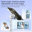 XIAOMIYOUPIN FUNSNAP X96 1.8m Extendable Selfie Stick Tripod with 360 Degree Rotating Phone Clip - Black - 5