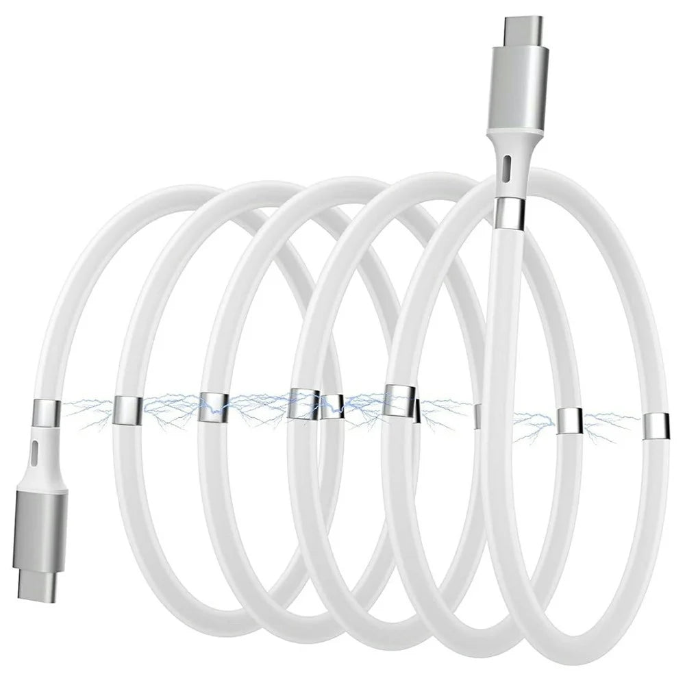 1m 2.4A Fast Charging Cable Magnetic Storage USB-C to USB-C 60W Data Cord - 1