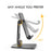 AHASTYLE ST01 Foldable Aluminum Alloy Phone Holder Stand Desktop Dual Shaft Adjustable Bracket - Black - 2