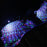 DX4U 4-LEDs USB Port Car Footwell Light Strip Sound-activated 8 Colors Atmosphere Light - 6