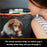 600D Oxford Fabric Pet Car Seat Cover for Back Seat Waterproof Dog Hammock with Visual Mesh Window, Black+Orange - 3