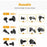 200Pcs Mixed Plastic Car Door Panel Fastener Vehicle Bumper Clips Retainer Fasteners with 1 Pry Tool - 3