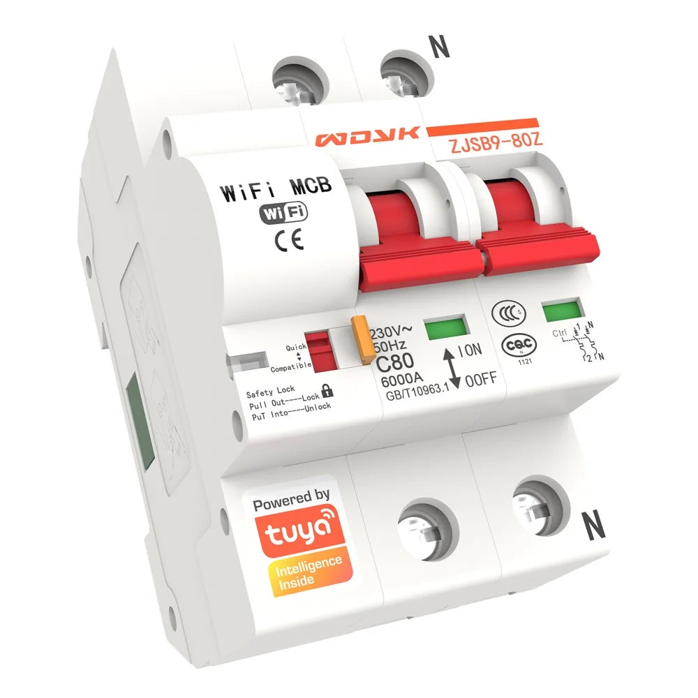 WDYK 10A - 80A 2P Tuya Smart WiFi Circuit Breaker Remote Control Intelligent Switch for Smart Home Automation - 10A - 2